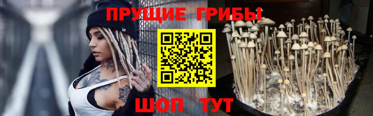 Вичуга  Галлюциногенные грибы мицелий  наркошоп  Вход с VPN 